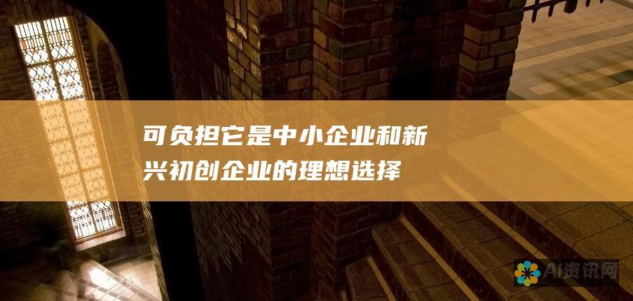 可负担：它是中小企业和新兴初创企业的理想选择，可以节省聘请设计师的费用。