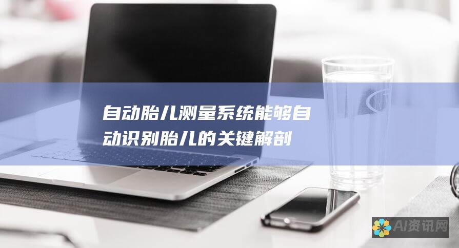 自动胎儿测量：系统能够自动识别胎儿的关键解剖结构，并进行精确测量，减少了人为误差。