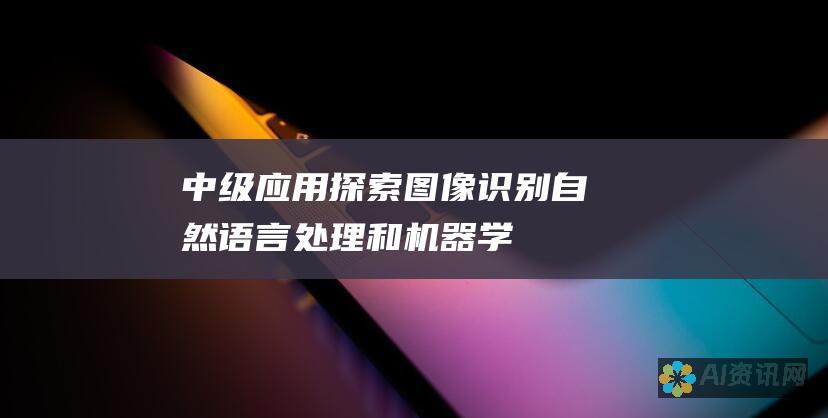 中级应用：探索图像识别、自然语言处理和机器学习等 AI 的实际应用。