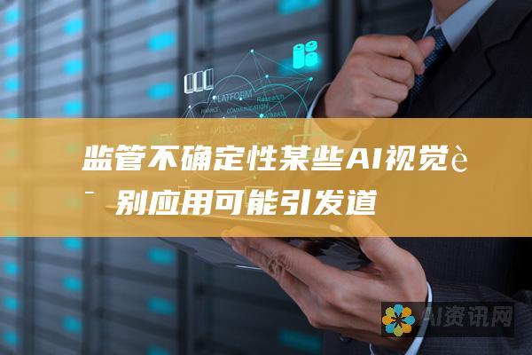 监管不确定性：某些 AI 视觉识别应用可能引发道德和隐私方面的担忧，可能导致监管机构的审查。