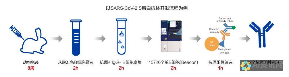 药物创新的未来：探索 AI 药物设计软件在医疗突破中的作用