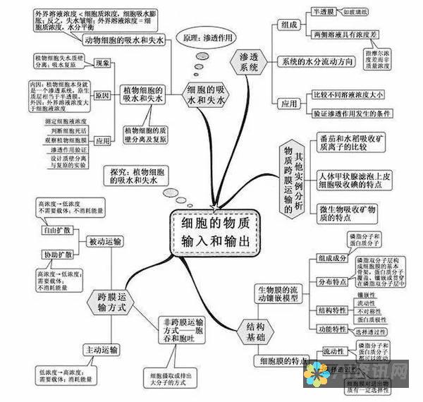 输入和输出：AI 图像生成接收文本描述或参考图像作为输入，并生成图像。另一方面，GPT 接收文本作为输入，并生成文本作为输出。