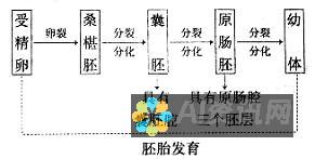 生成过程的随机性：AI图片生成器通常使用随机元素来生成图像，这可能会导致相似的图像被生成。