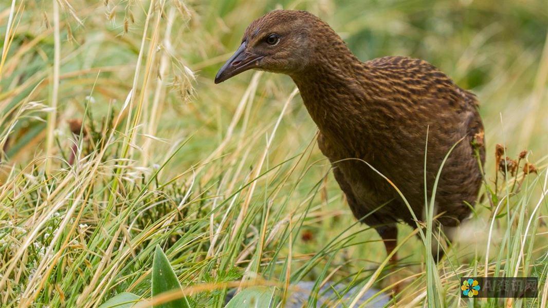 Weka：一个开源数据挖掘工具箱，提供各种机器学习算法和可视化工具。