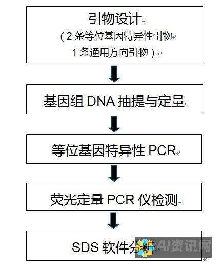 类似 Snapchat 的应用程序：与朋友分享瞬间和表达自我的新方式