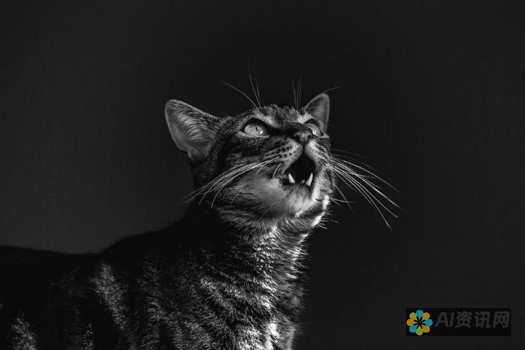 猫咪语言的破译者：深入探索 MeowTalk 的惊人功能