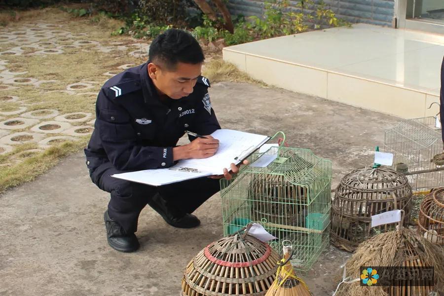 捕捉中国 AI 浪潮：盘点潜力无限的股票