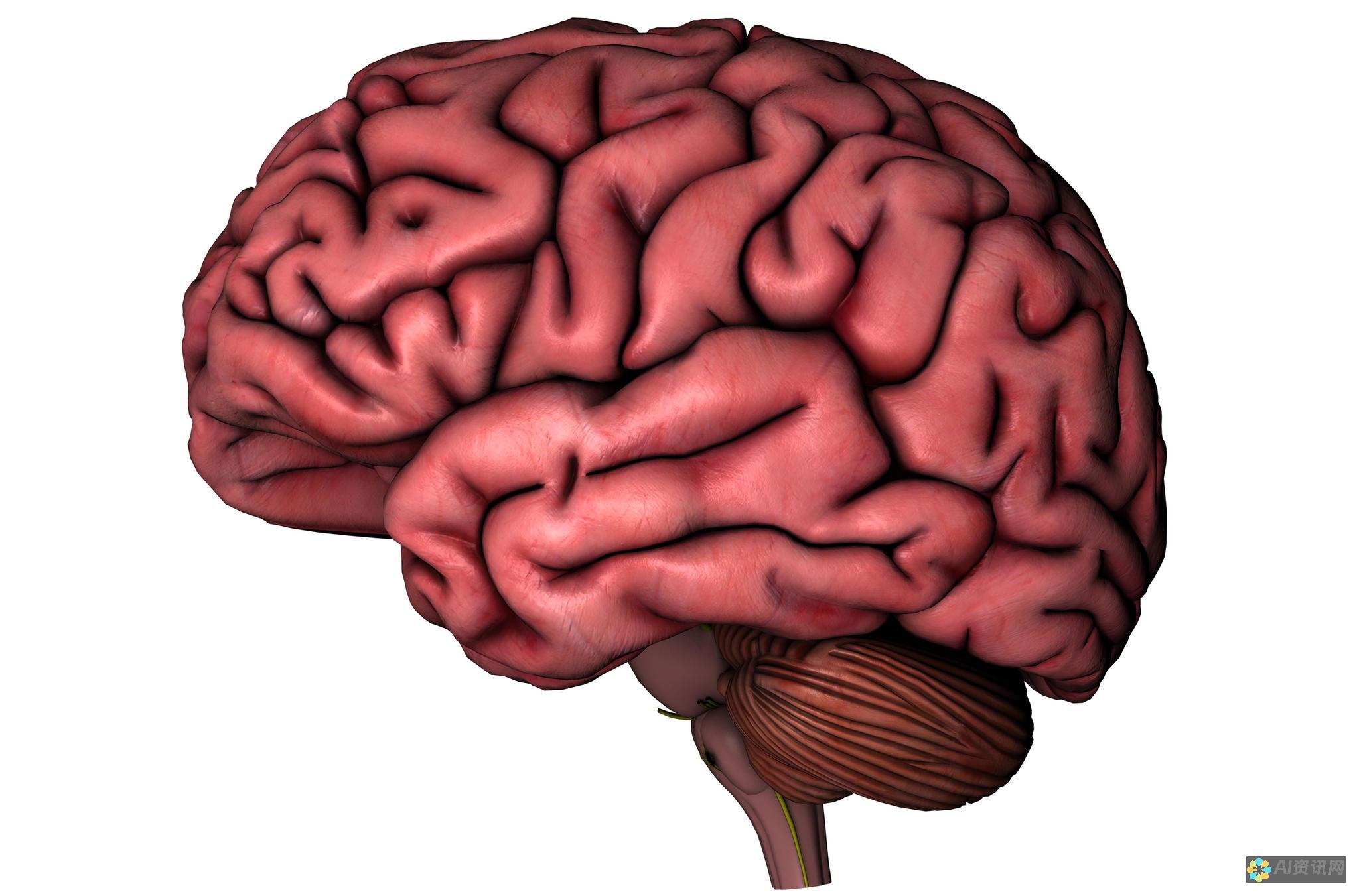 Brain Score：用于评估神经网络模型的性能的神经科学度量标准。