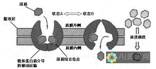 释放稳定扩散的潜力：从哪里以及如何下载其模型！