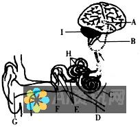 在听觉盛宴中畅游：免费人工智能朗读软件，带你体验文字的立体声