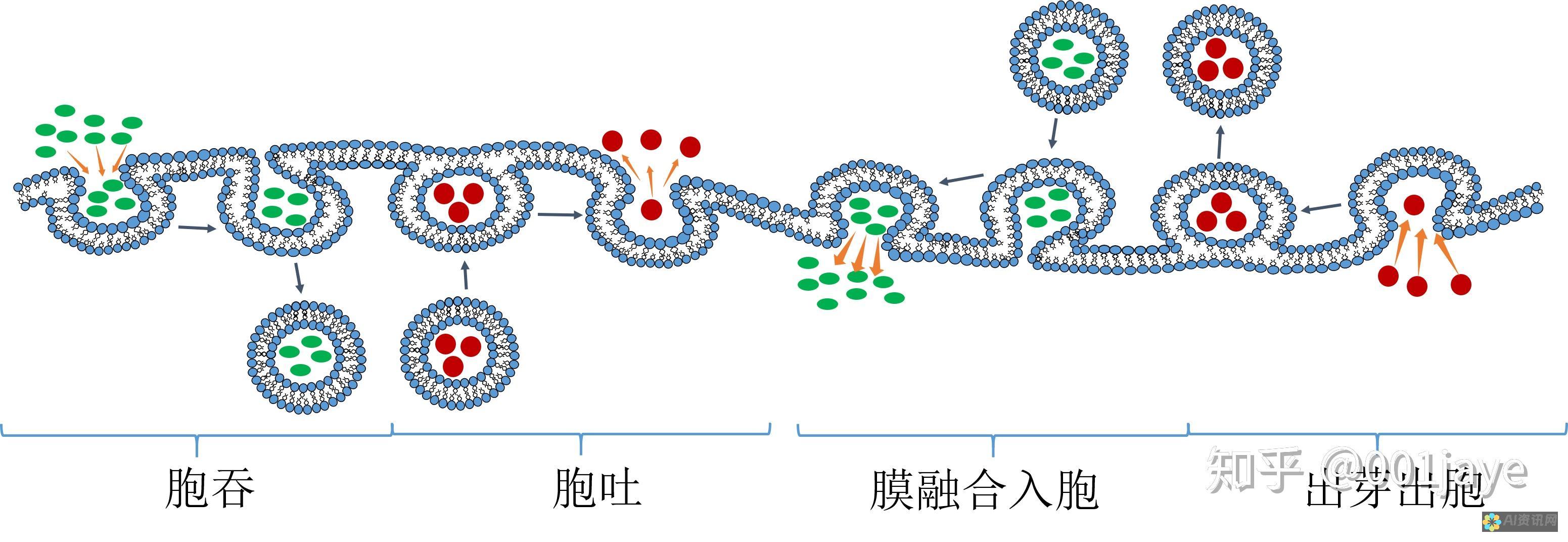 在融合与区分中前行：深度解读人工智能与AI的区别