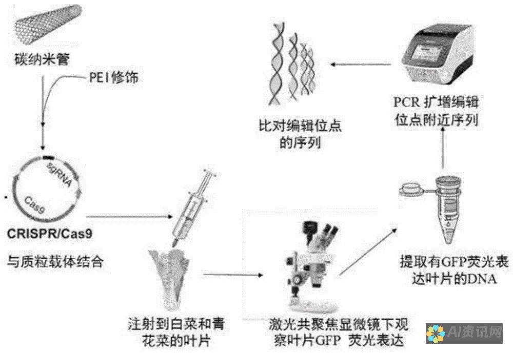 编辑效率飞跃：探究AI可编辑文件格式的高效工作方式