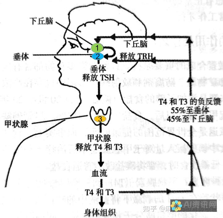 释放您的创造力：通过Charades释放您的内在喜剧演员