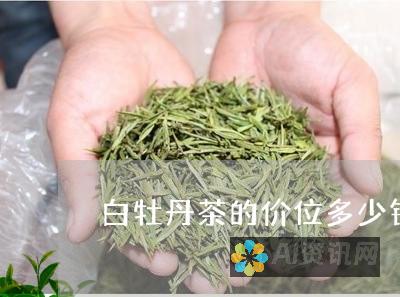 揭秘 ChatGPT 真面目：探索其背后的网站和版本信息