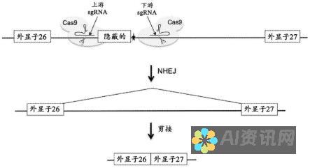 深度剖析chatgpt小程序：理解其与真正ChatGPT之间的异同