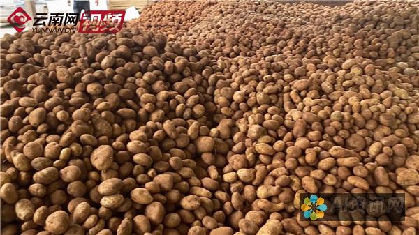 用土豆的力量点亮您的电脑聊天体验：Potatochat 电脑版