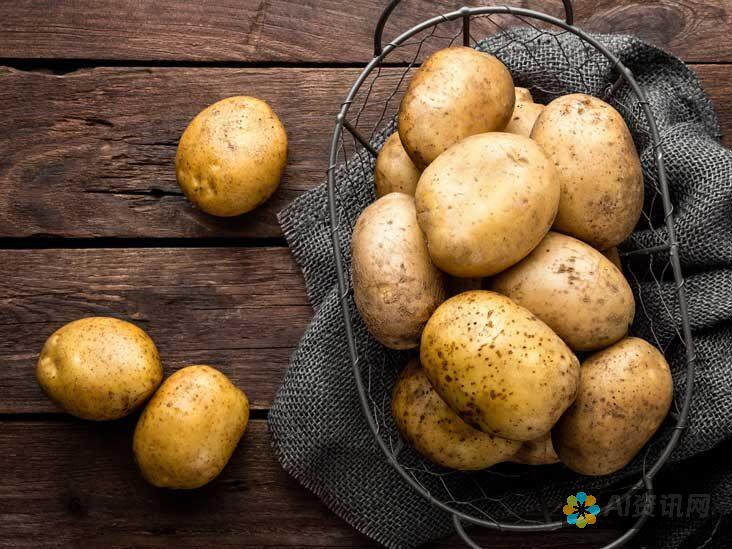 PotatoChat安全性的重要性：用户数据和隐私的保障