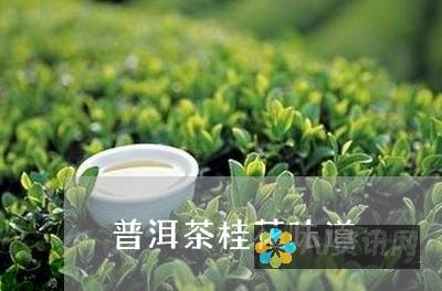 揭秘 ChatGPT 安卓版发布日期：何时登陆您的掌上设备？