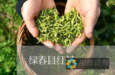 揭秘 Chat发音奥秘：发音规则和常见错误