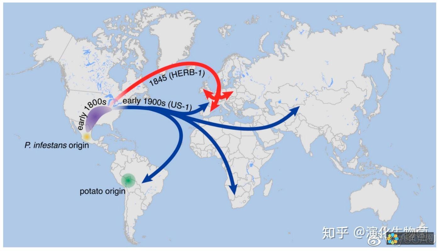 土豆危机蔓延至苹果商店：最受欢迎的小吃现已消失