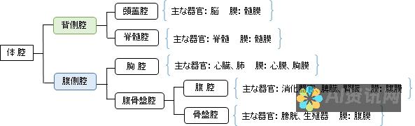 解剖 ChatGPT 官方网站：界面设计、功能和背后的技术