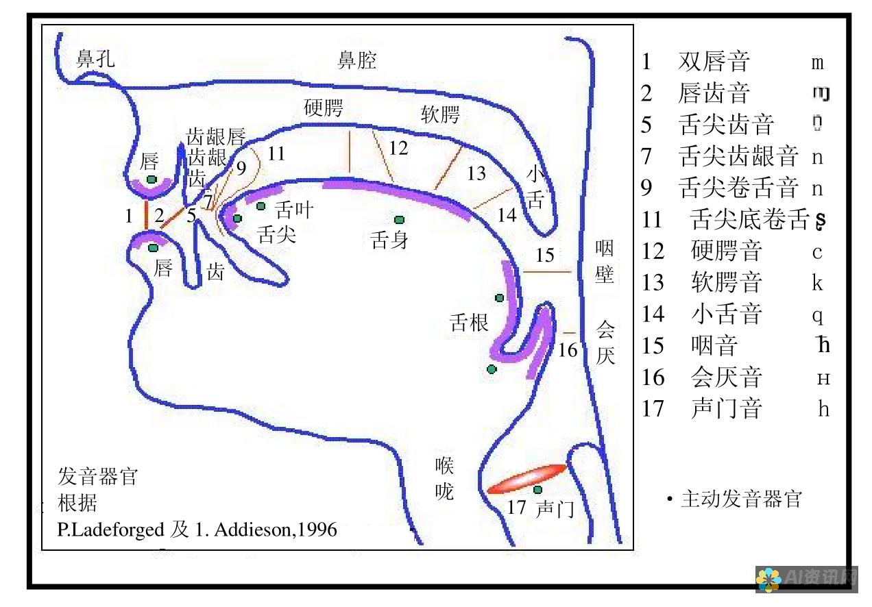 发音指南：解锁 chat 的完美英语发音