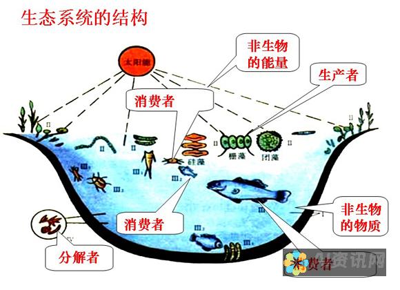 应用生态系统的大变革：苹果应用程序商店垄断的挑战与机遇