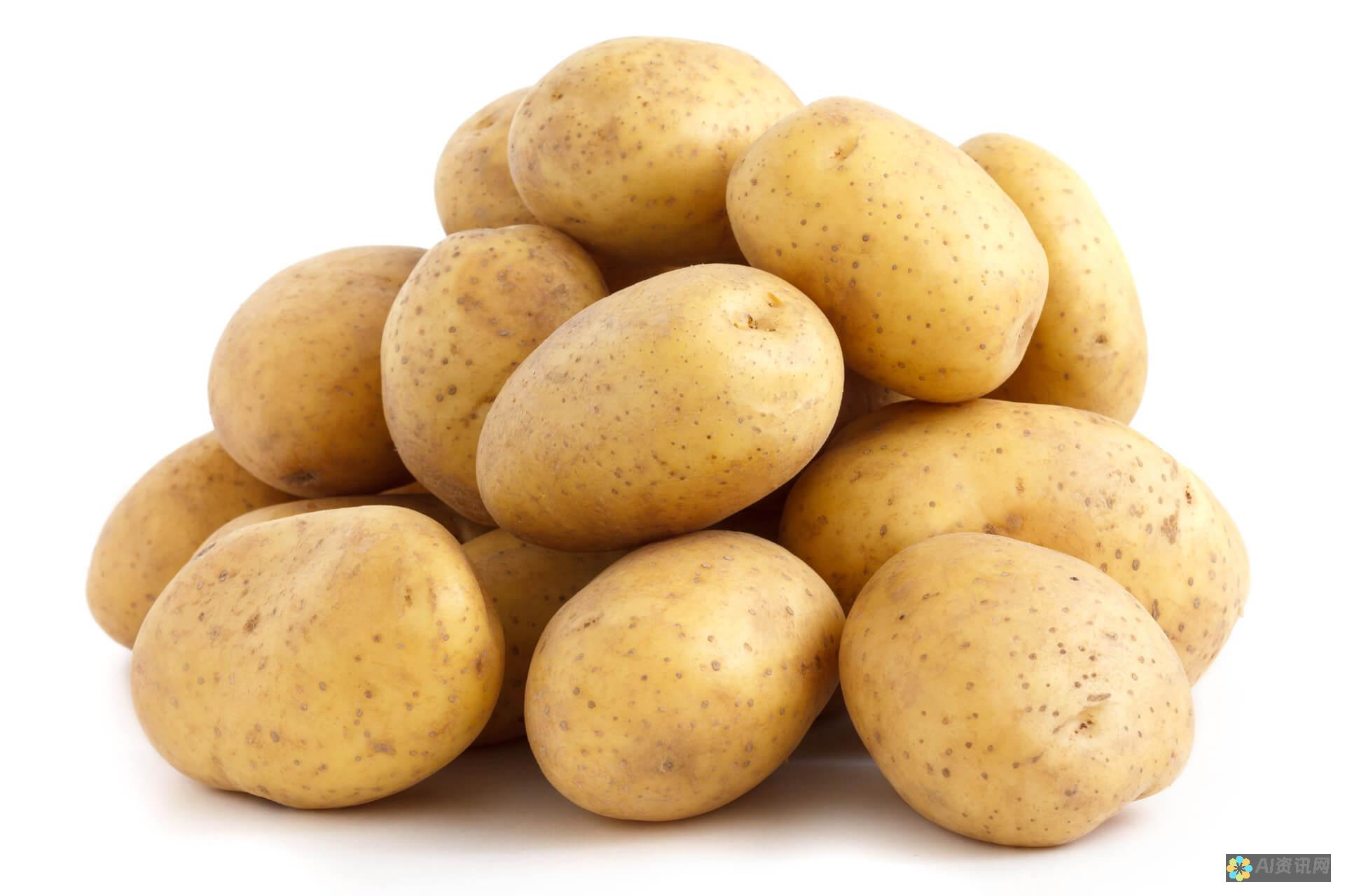 Potato 下载：获取最新版本的官方网站应用程序