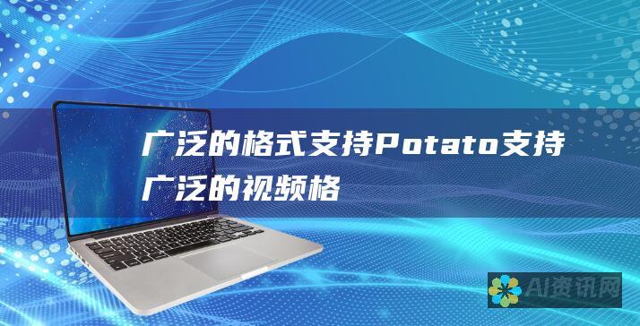 广泛的格式支持：Potato 支持广泛的视频格式，满足您的所有下载需求。