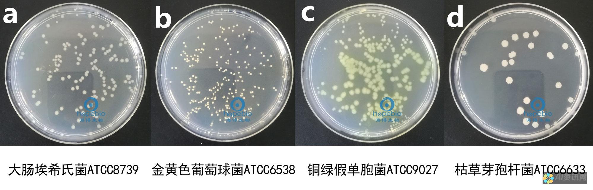 如何利用埃微健康助手老版本改善您的整体健康和福祉