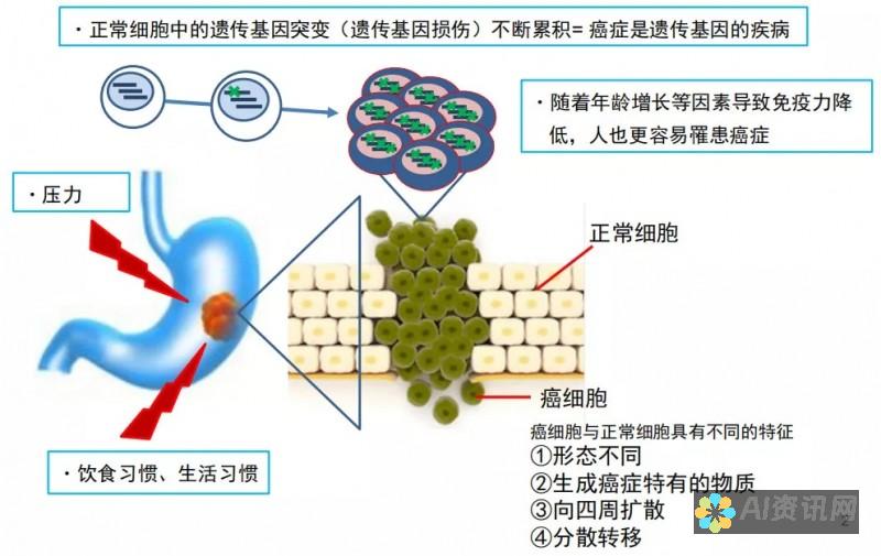 癌症与免疫系统：揭示传染背后的复杂机制