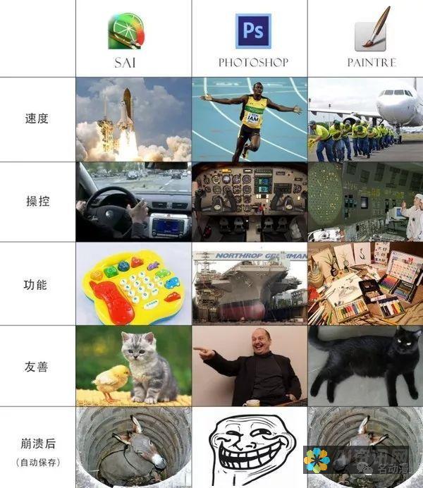 解锁您的绘画潜力：在您的指尖上探索绘画微件