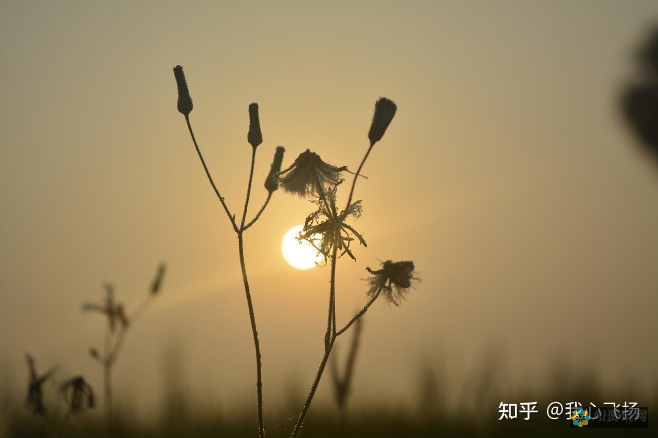 从此告别繁琐注册：十款无需登录的AI绘画工具推荐