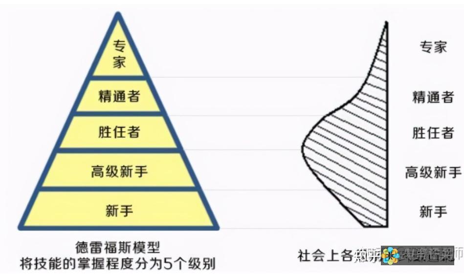 从新手到专家：如何选择好用的AI绘画生成器？