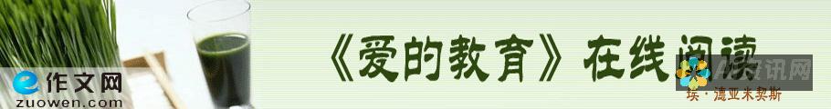 如何从亚米契斯的名言中汲取爱的教育智慧：启发家长与教师的思考