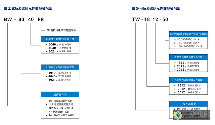 命名策略：为AI健康助手选择一个独特而有意义的名称