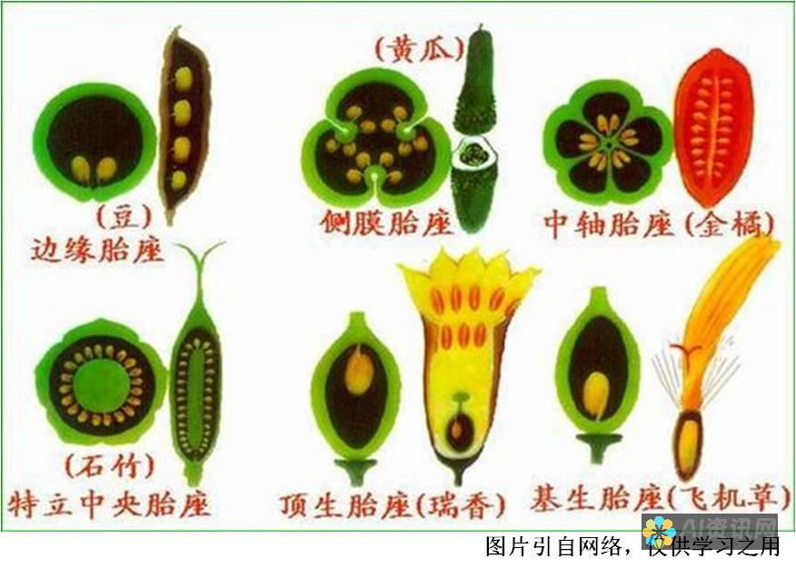 全果图软件的设计革新：如何利用AI绘画提升创作效率与质量？