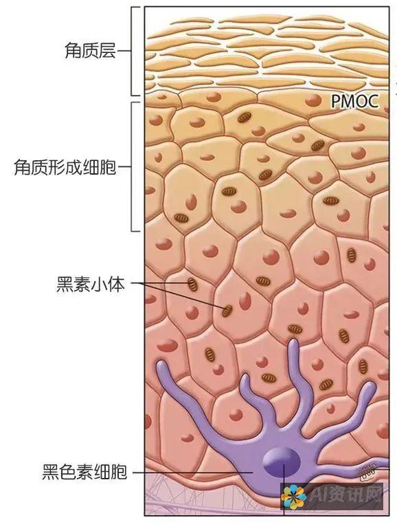 了解皮肤健康：专业医生在线问答助您解决疑难杂症