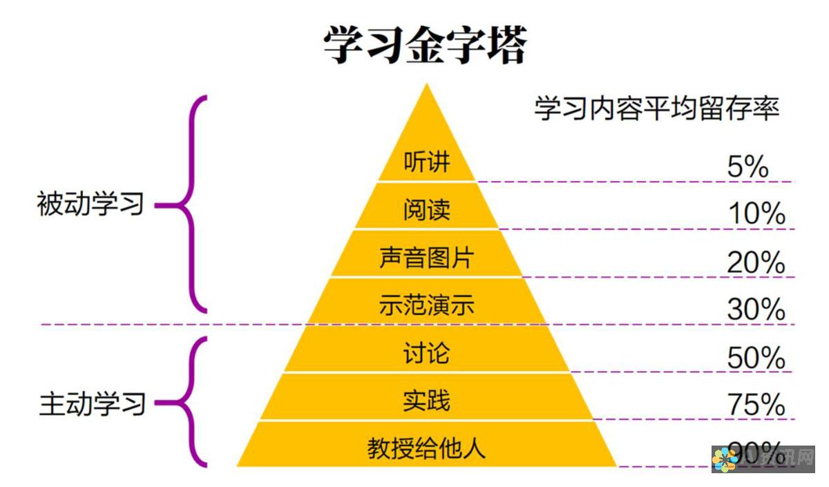 全面了解学习网首页：探索教育资源与学习工具的最佳平台