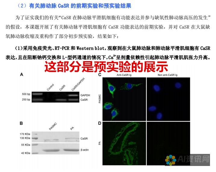 从基础到专业：解读AI智能画质的概念与价值