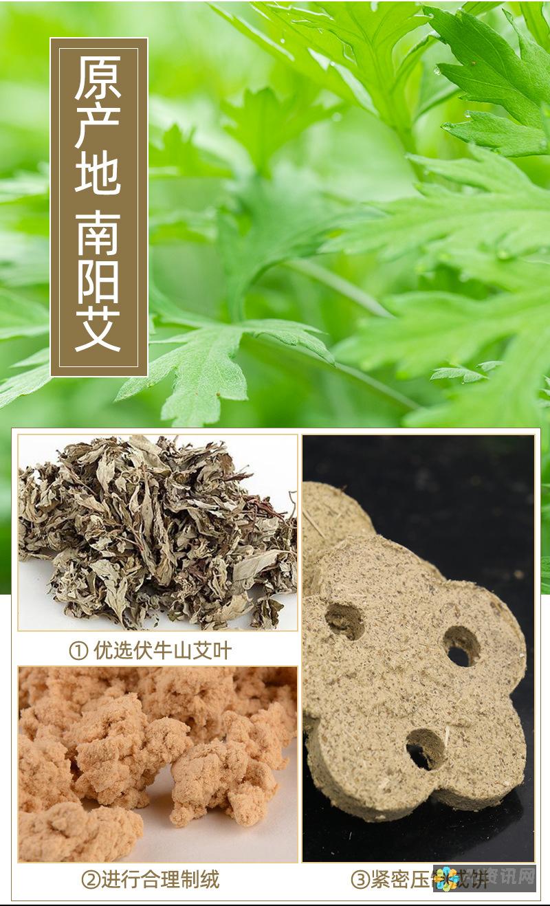 艾医生艾饼使用次数的影响因素：从个人体质到环境条件