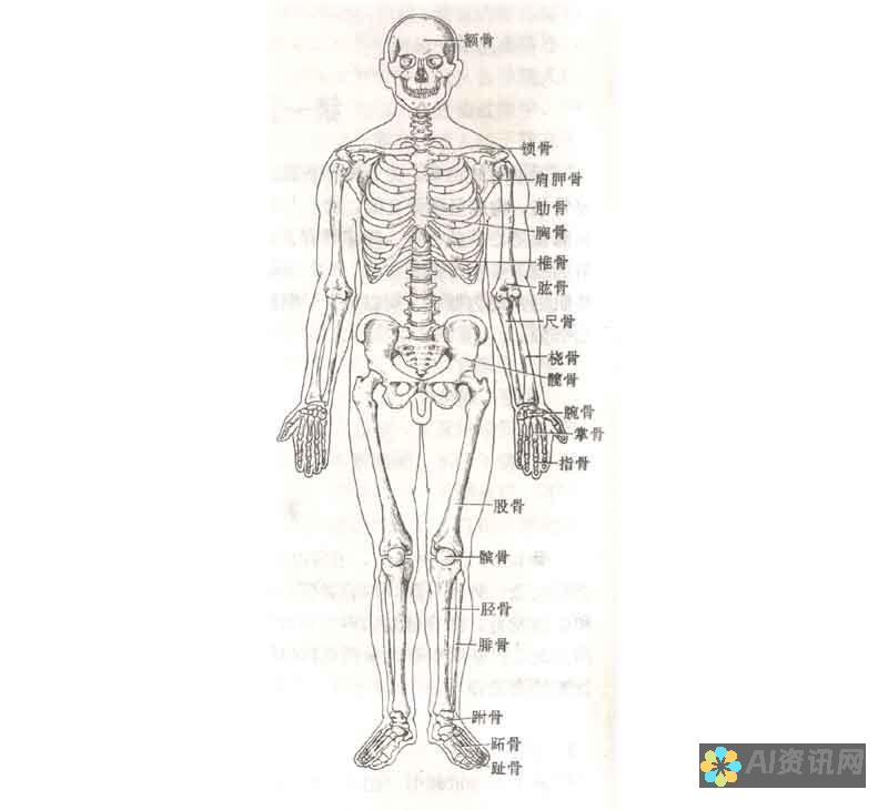 全方位解析生成AI格式文件的步骤与技巧