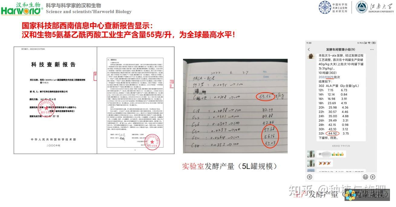 如何通过al教育加盟实现个人价值与社会责任的双重提升