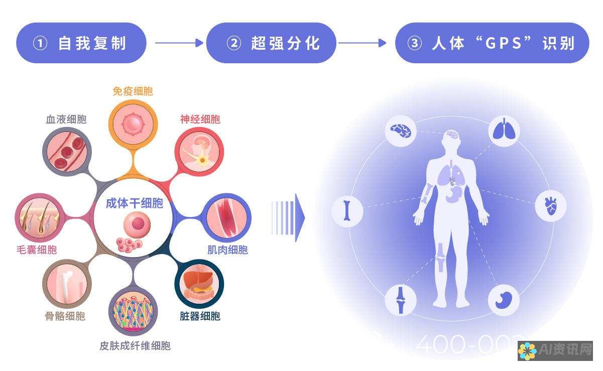 医学生模型app的评价与反馈：用户体验与教育成果的实证分析