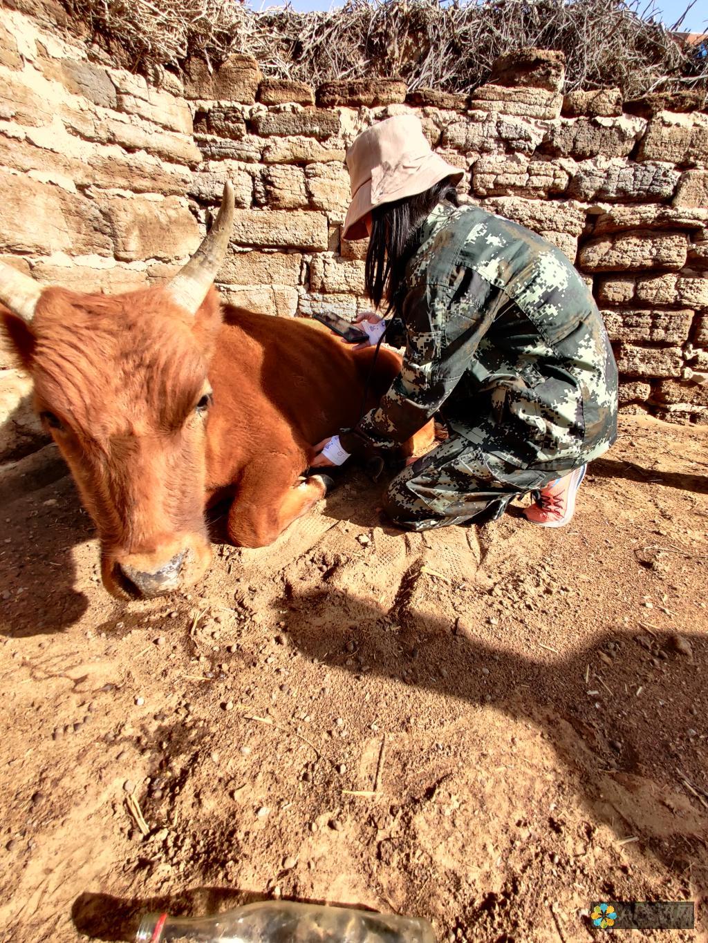 爱医生物牛早孕试纸，伴您走过重要人生节点，开启爱的旅程