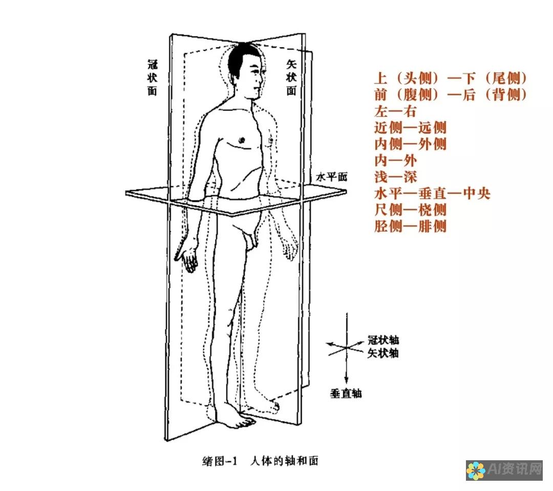 全方位解析：免费且高效的人工智能写作软件推荐