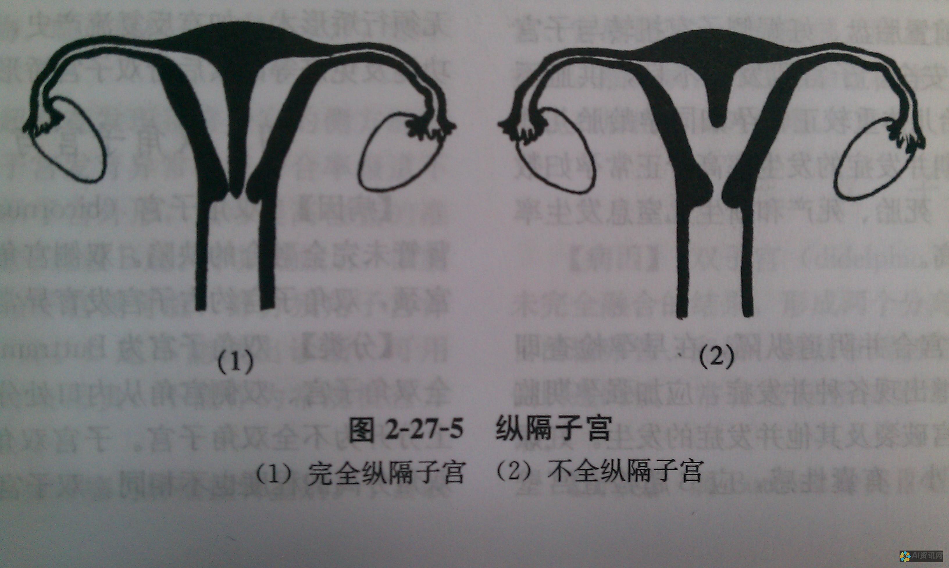 全面解析：如何下载AI绘画软件并轻松上手