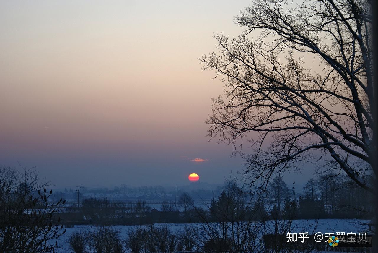 走进清晰的未来，探索AI画质修复网站的神奇功能