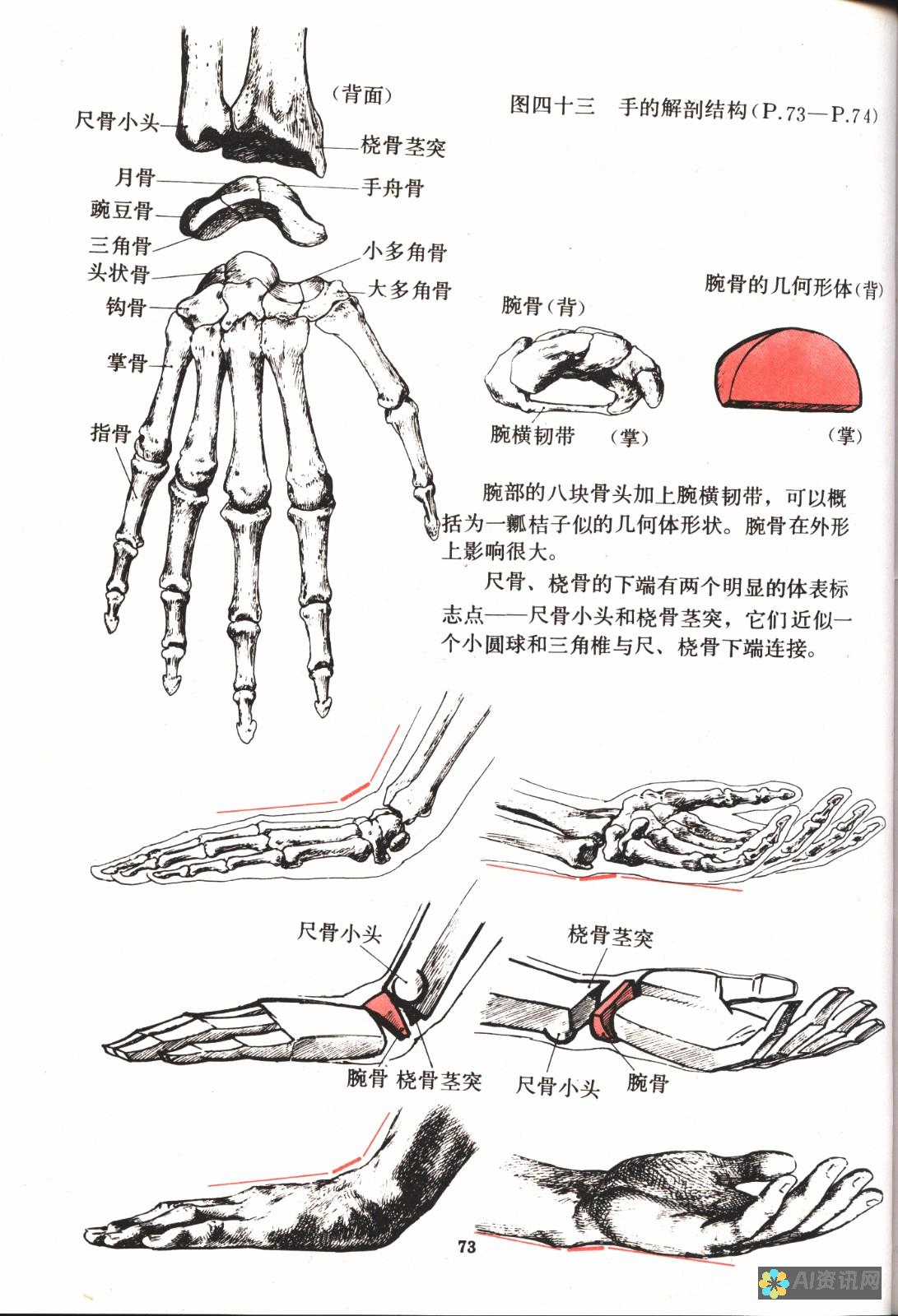 详细解析：手机上的免费AI画图软件功能与特点