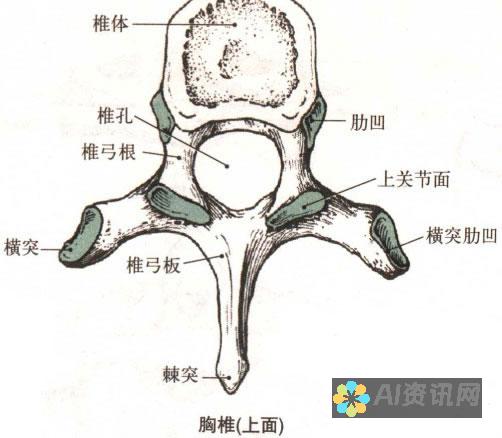 剖析绘画安卓破解版对版权及安全的冲击